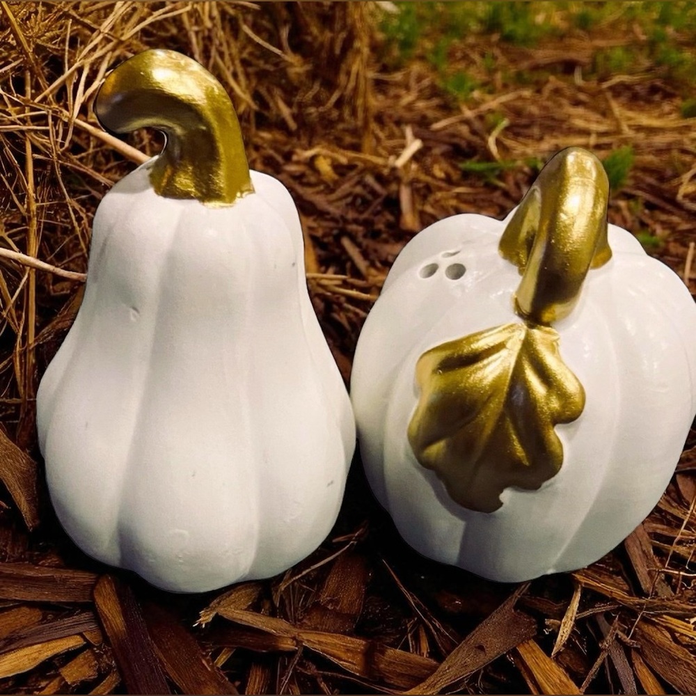 Amici White & Gold Pumpkin Gourd Thirsty Stone Salt and Pepper Shakers NWT
